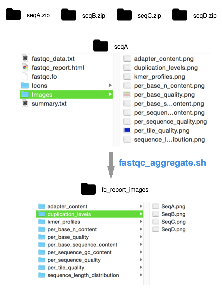 aggregate fastqc